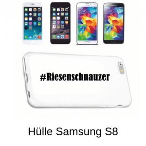 Hülle Samsung S8